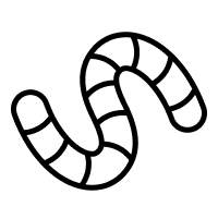 Non-Insects
