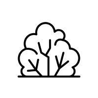 Shrubland